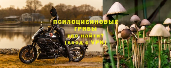 ешки Алексеевка