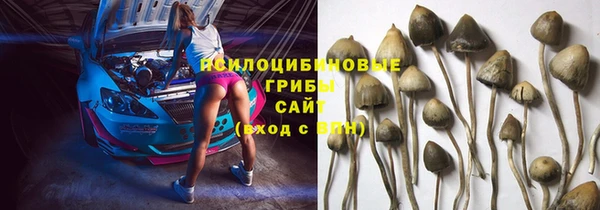 таблы Алзамай
